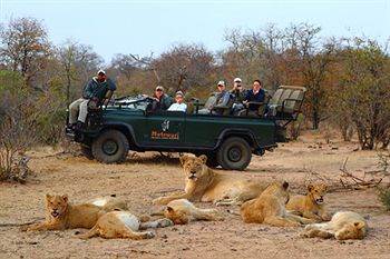 Motswari Private Game Reserve - Timbavati Reserva Natural de Klaserie Exterior foto