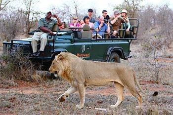 Motswari Private Game Reserve - Timbavati Reserva Natural de Klaserie Exterior foto